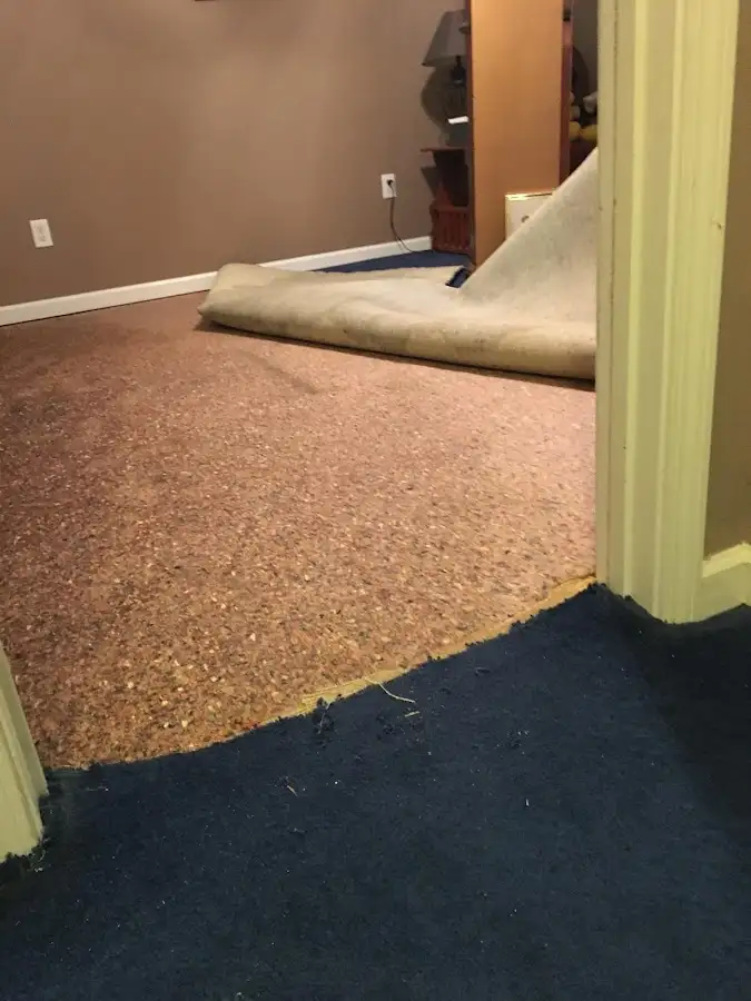 Carpet pad removal revealing water damage during Drying & Dehumidification in South Cleveland