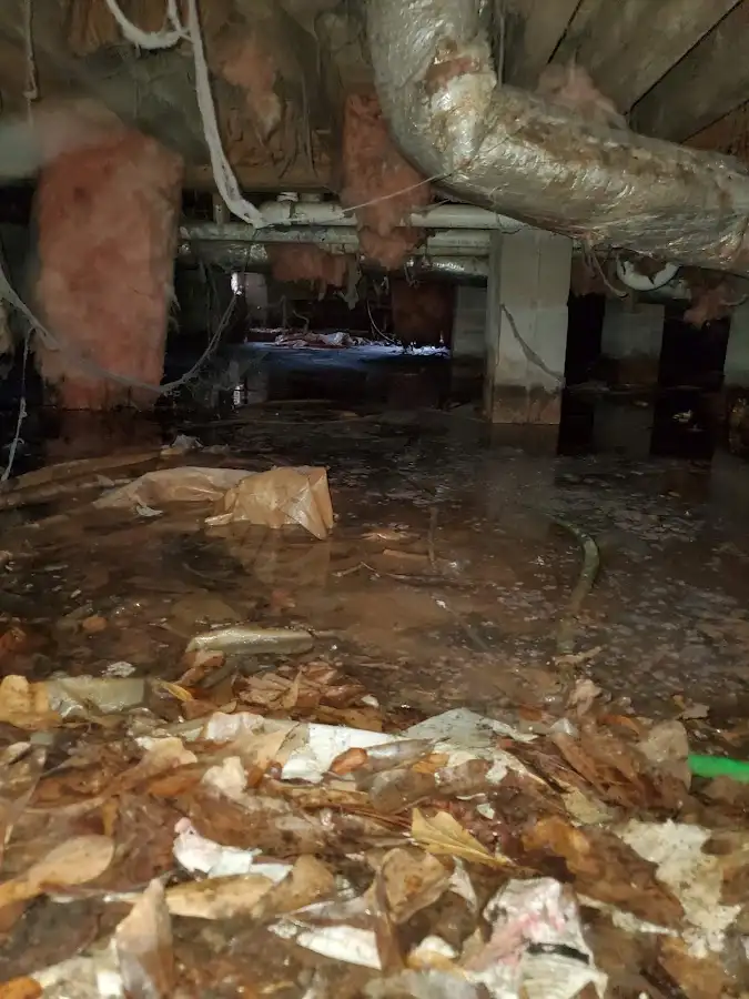 Crawl space flood assessment for Leak Detection & Repair in South Cleveland